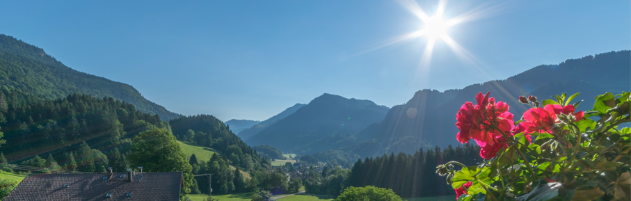 Berglandschaft mit blühenden Pflanzen