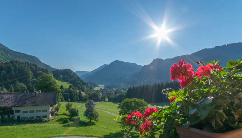 Blühende Blumen mit Berglandschaft im Hintergrund