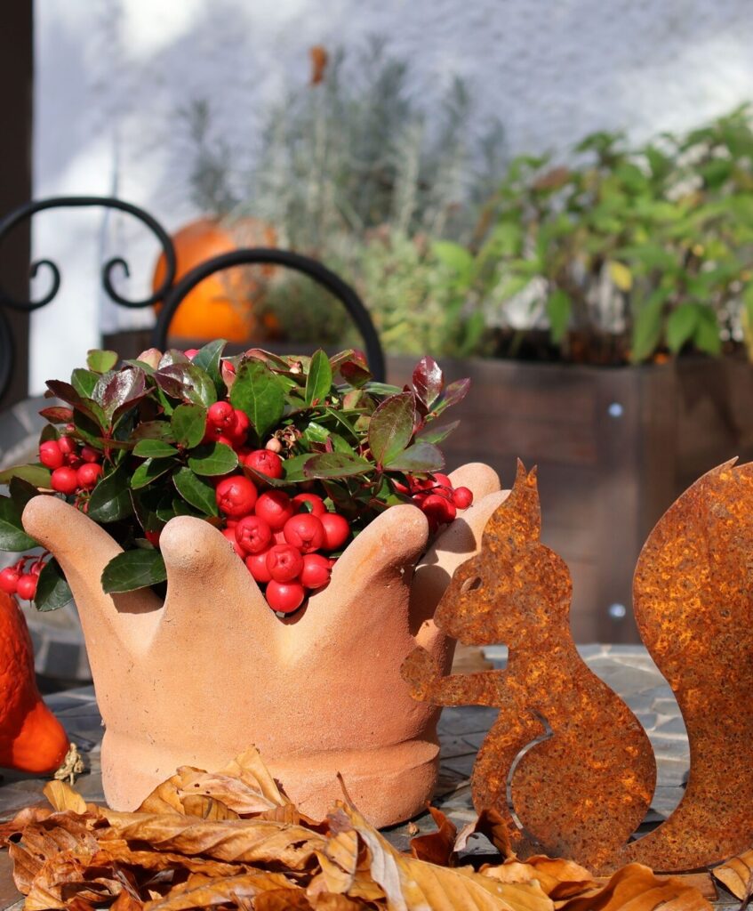 Tontopf mit roten Beeren und Deko