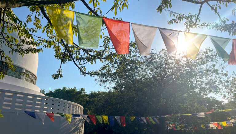 Bunte Fahnen im Sonnenlicht hängen.