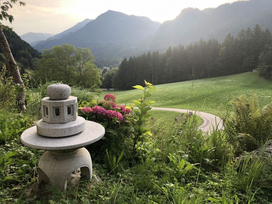 Ausblick vom MRC