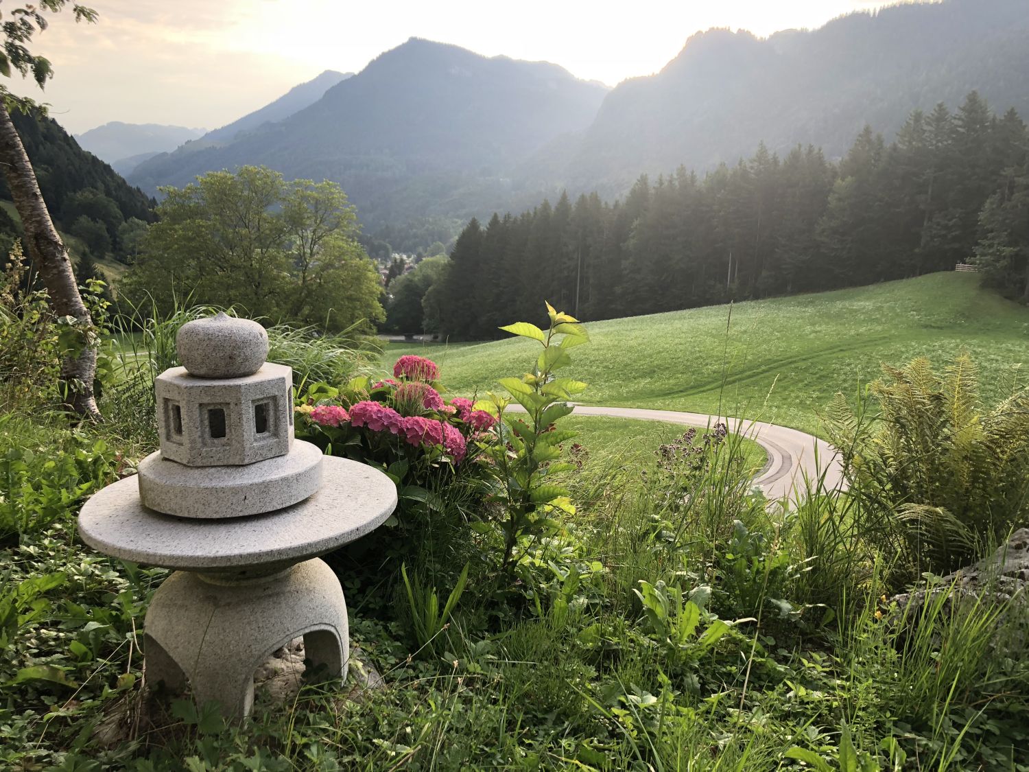 Ausblick vom MRC